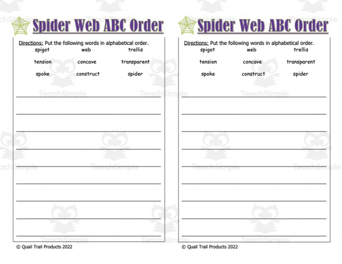 Educational resource for understanding spider anatomy and web structure in a fun way Spiders and Their Webs worksheet for second graders, featuring a diagram for anatomical terms