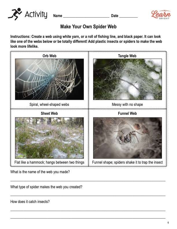 Educational activity illustration focused on spiders and their webs for young learners Spiders and Their Webs worksheet for second graders featuring a diagram for labeling anatomical terms