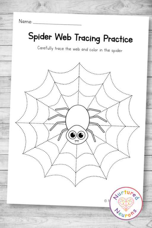 Educational resource for young learners to explore spider anatomy and web structure Spiders and Their Webs worksheet for second graders, featuring a diagram for anatomical terms
