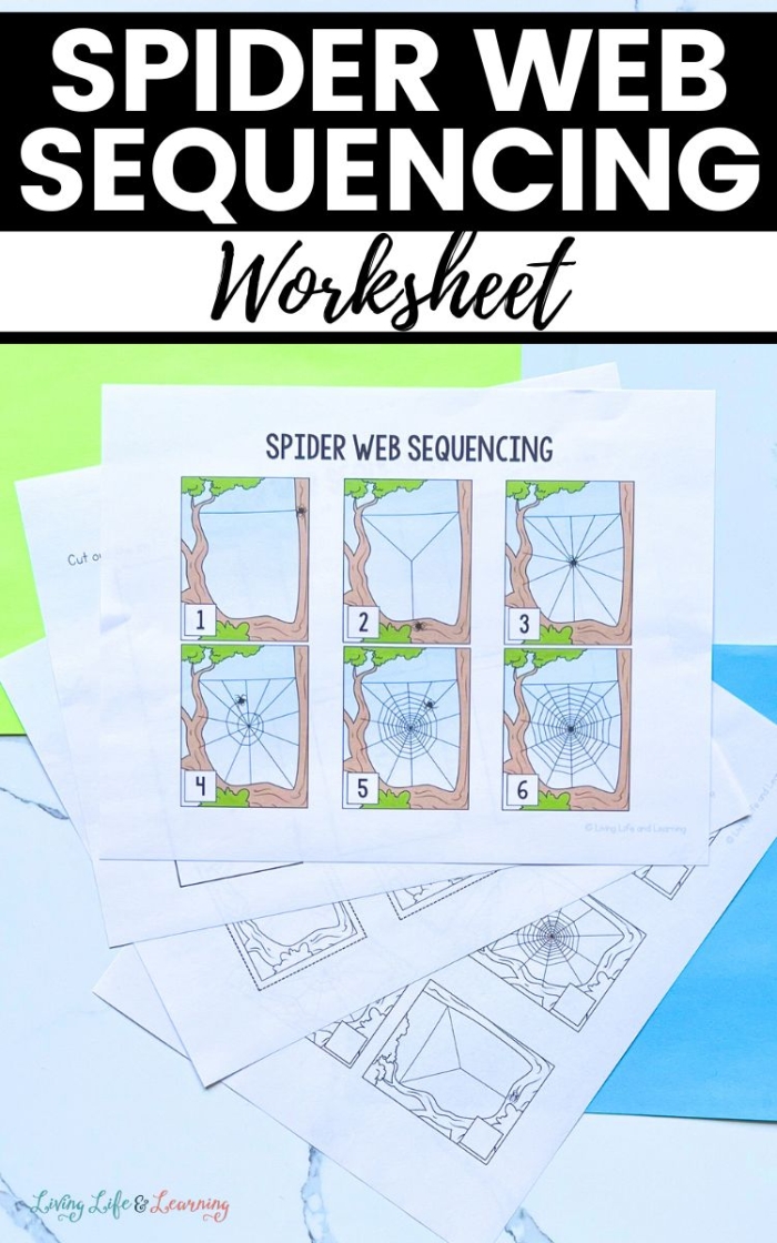 Educational image illustrating the anatomy of spiders for young learners Spiders and Their Webs worksheet for second graders with a diagram to fill in