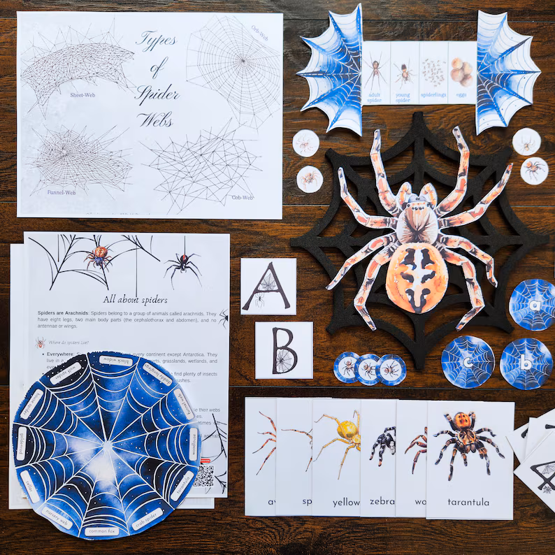Educational worksheet image illustrating spiders and their webs for young learners Spiders and Their Webs worksheet for second graders featuring a diagram for labeling anatomical terms