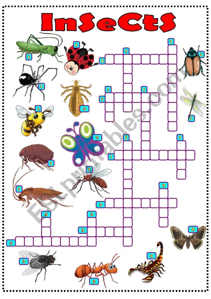 Insect-themed crossword worksheet for spring learning activities Colorful spring crossword puzzle featuring various insects for second graders