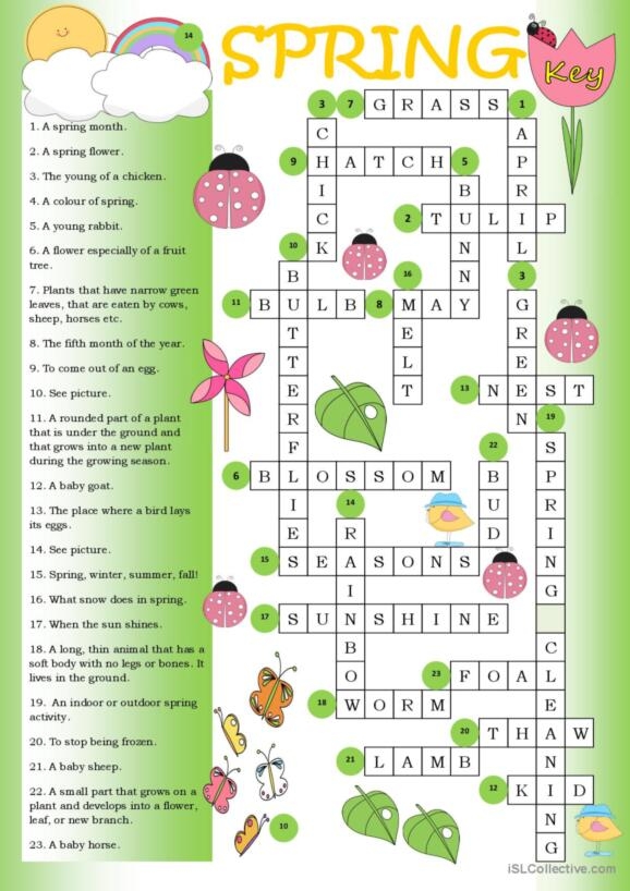 Spring Crossword Worksheet 9: Reading and Writing Practice with Bird and Nature Words Second grade students completing a spring-themed crossword puzzle with birds and nesting vocabulary words