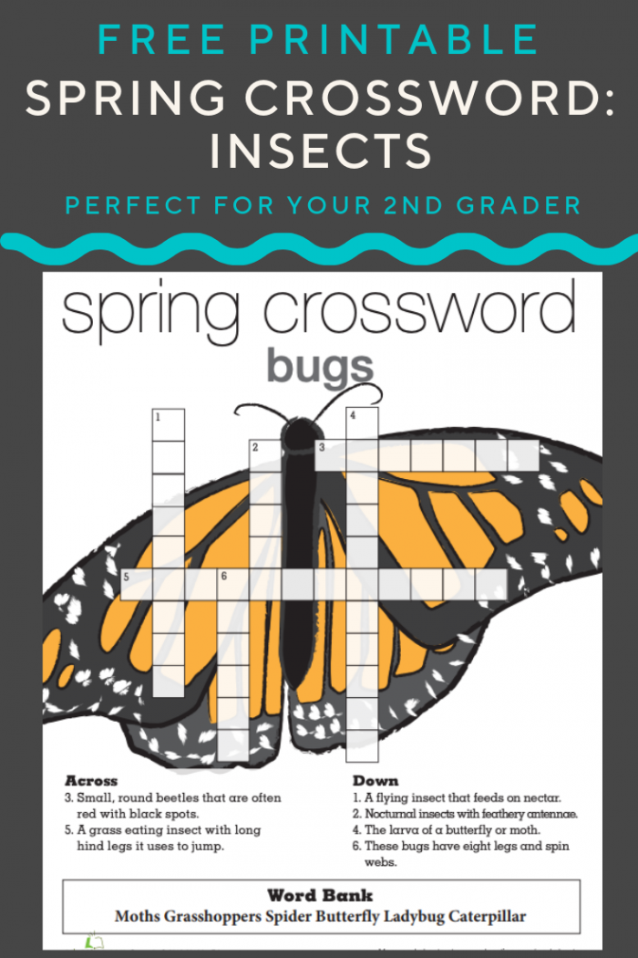 Insect-themed crossword puzzle for spring life science activities Spring Crossword worksheet featuring various insects for second graders