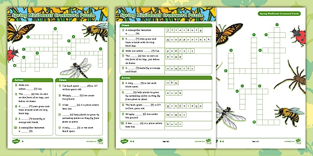 Engaging spring insects crossword puzzle for life science learning Spring crossword worksheet featuring various insects for second graders