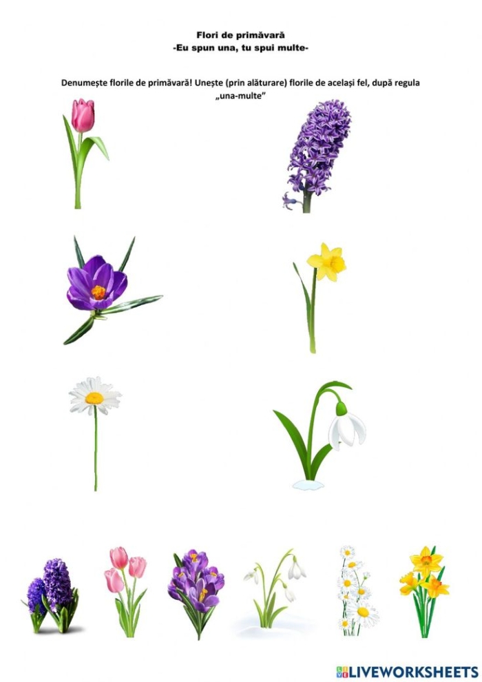 Engaging crossword puzzle featuring vibrant spring flowers to enhance vocabulary and spelling Spring Flowers Crossword worksheet designed for second graders focusing on multiplication skills