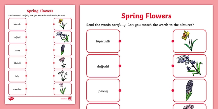Spring Flowers Crossword Worksheet for Multiplication Challenges Colorful spring flowers adorning a crossword puzzle for second graders