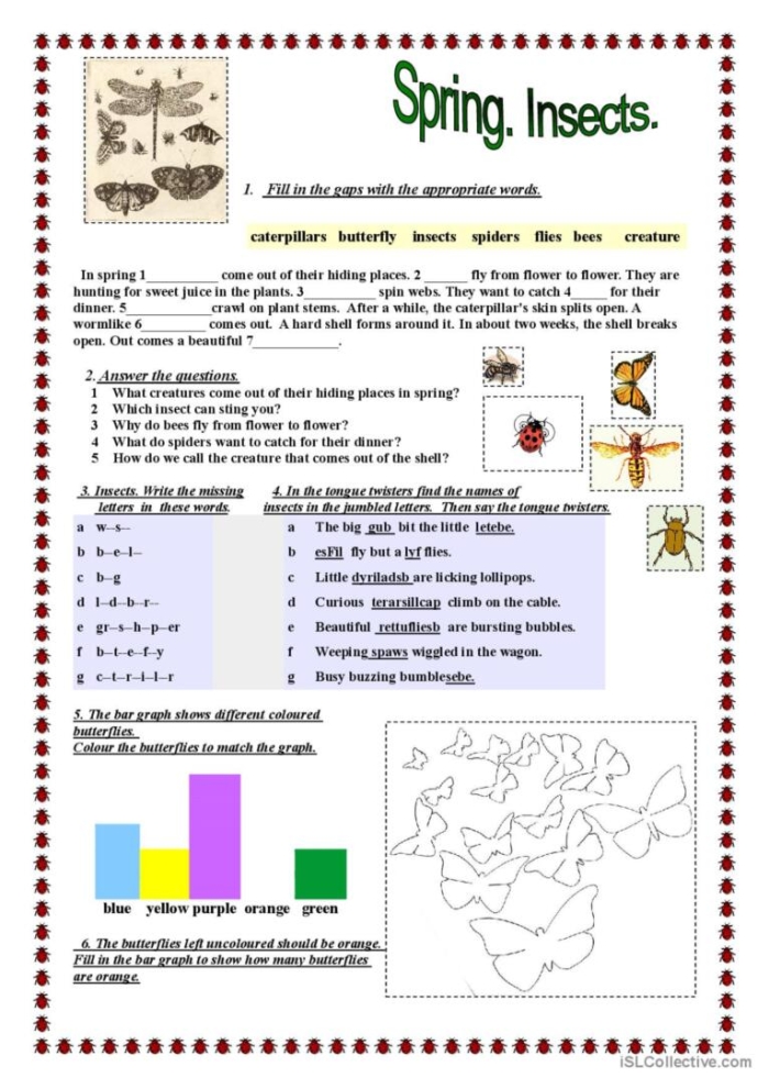 Spring Insects Crossword Worksheet Number 24 Second grade students practice science vocabulary by solving a spring insect crossword puzzle