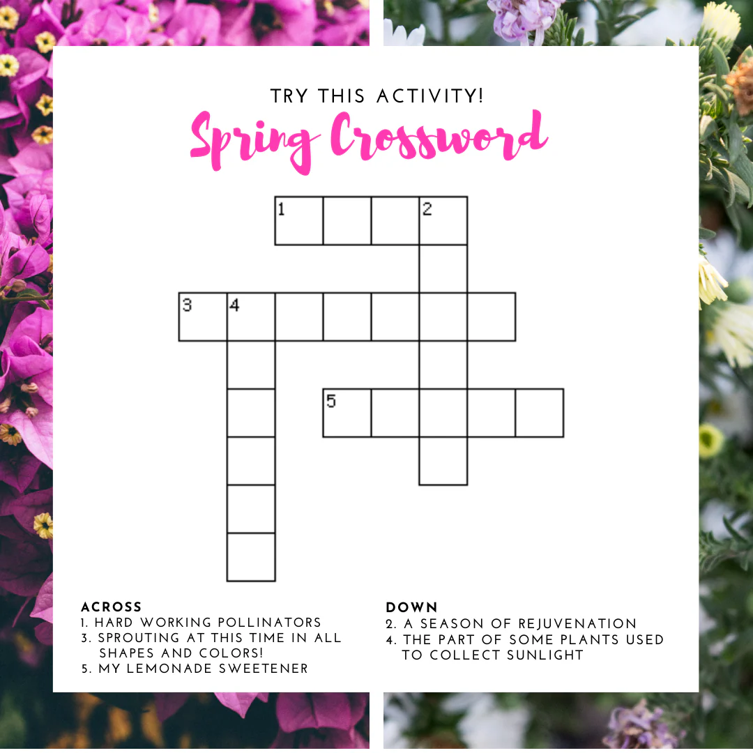 Second grade spring crossword puzzle worksheet with vocabulary and spelling exercises for learning fractions concepts
