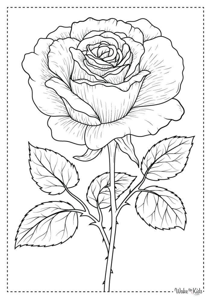 Mixed Operations worksheet for Kindergarten A vibrant coloring page showcasing spring roses and two cheerful ladybugs for young learners. Spring Roses Coloring Page worksheet for kindergarten mixed operations.