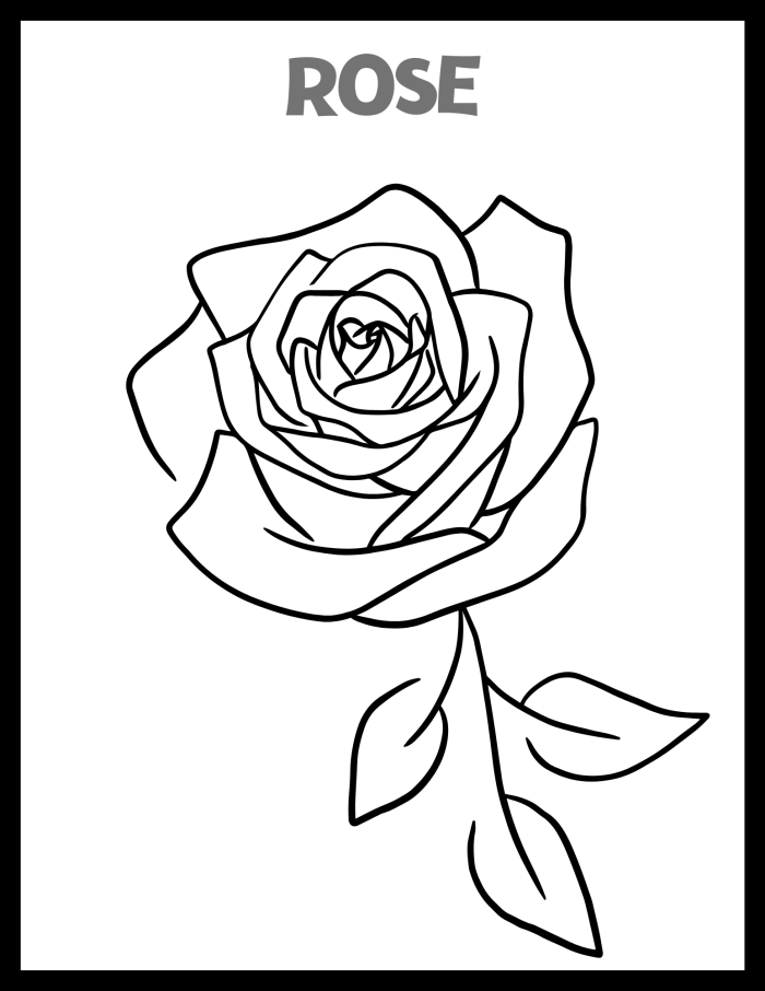 Spring Roses Coloring Page Worksheet for Kindergarten Coloring page of spring roses with ladybugs for kindergarten mixed operations worksheet
