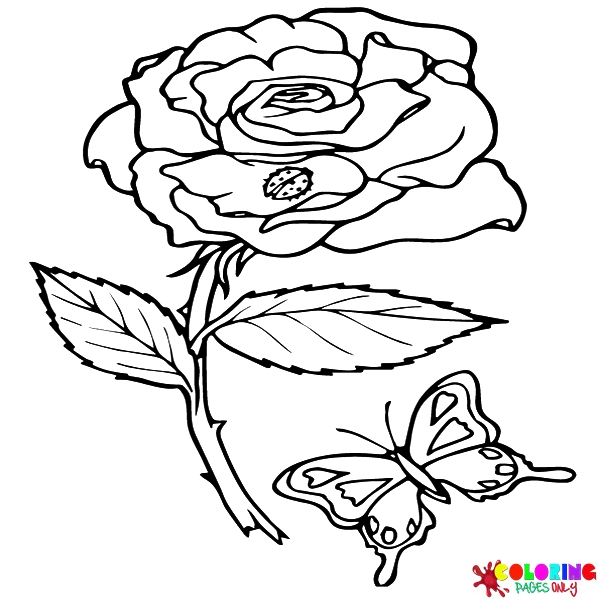 Mixed Operations worksheet for Kindergarten A delightful coloring page featuring vibrant spring roses and cheerful ladybugs for kindergarten students. Spring Roses Coloring Page worksheet designed for mixed operations activities.