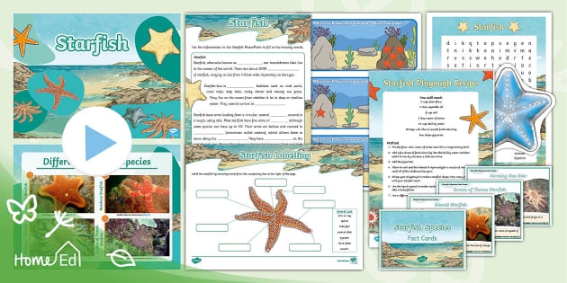 Starfish Text Features worksheet for second graders focusing on nonfiction elements