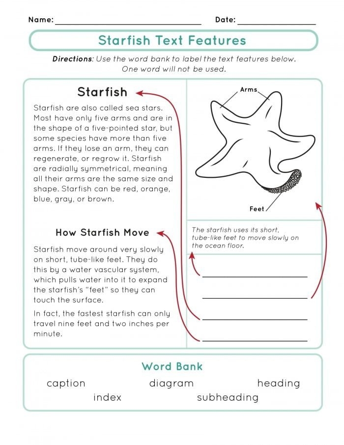 Starfish Text Features worksheet for second graders focusing on nonfiction elements
