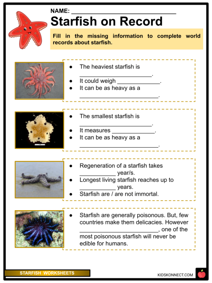 Second grade student worksheet featuring starfish images and labels for identifying nonfiction text features