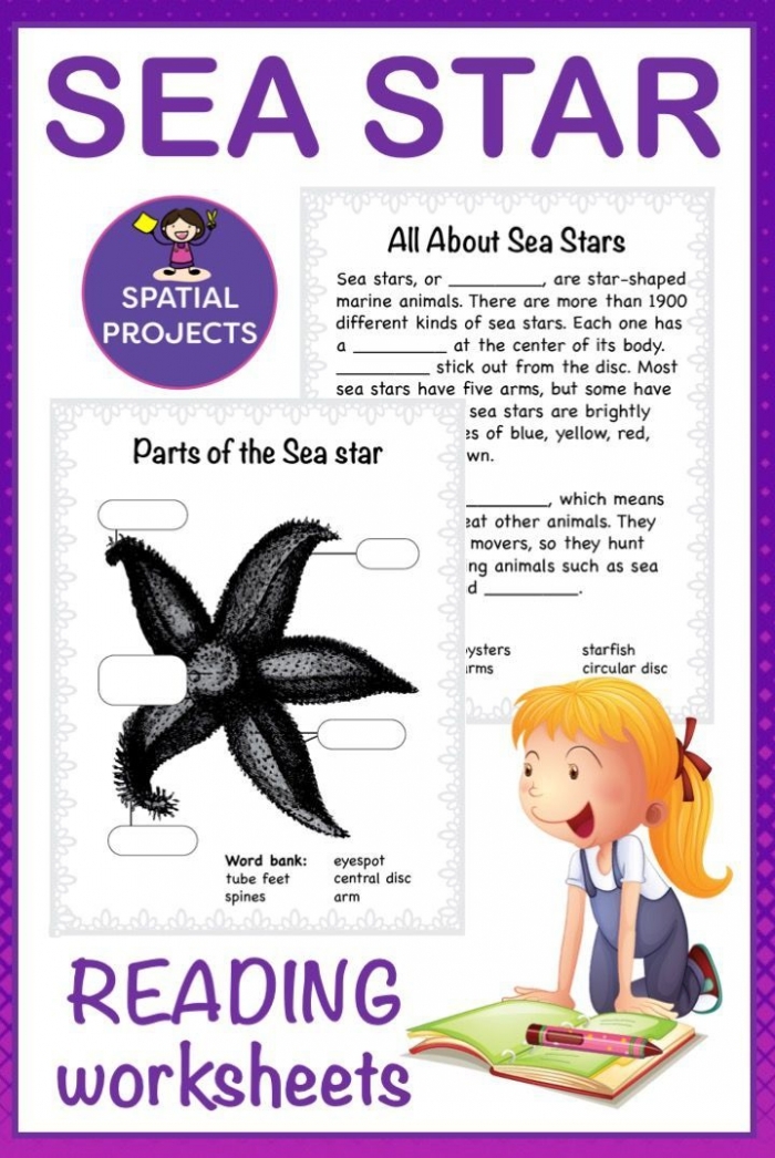 Starfish Text Features worksheet for second graders focusing on nonfiction elements