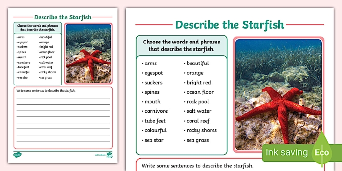 Second grade students identifying nonfiction text features on a Starfish worksheet