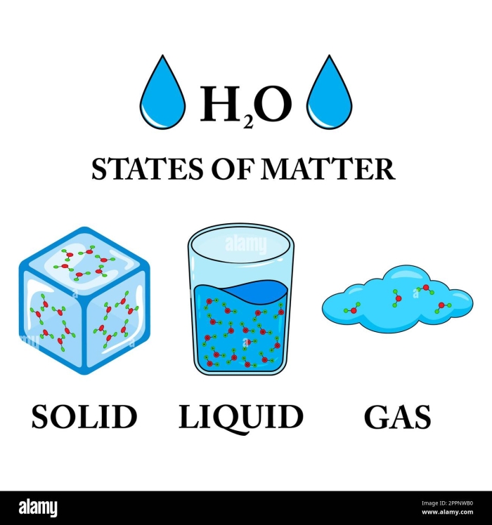 Worksheet for identifying solids, liquids, and gases for second graders