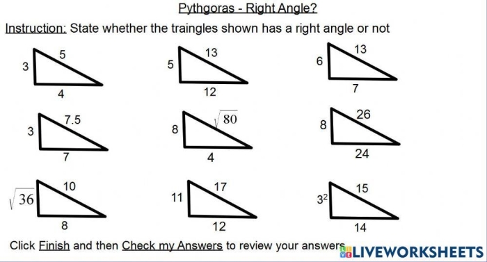 Eighth grade students identifying right triangles by applying the converse of the Pythagorean theorem on a geometry worksheet