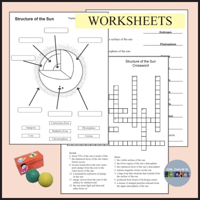 A labeled diagram worksheet about the Sun with vocabulary terms for fifth grade students