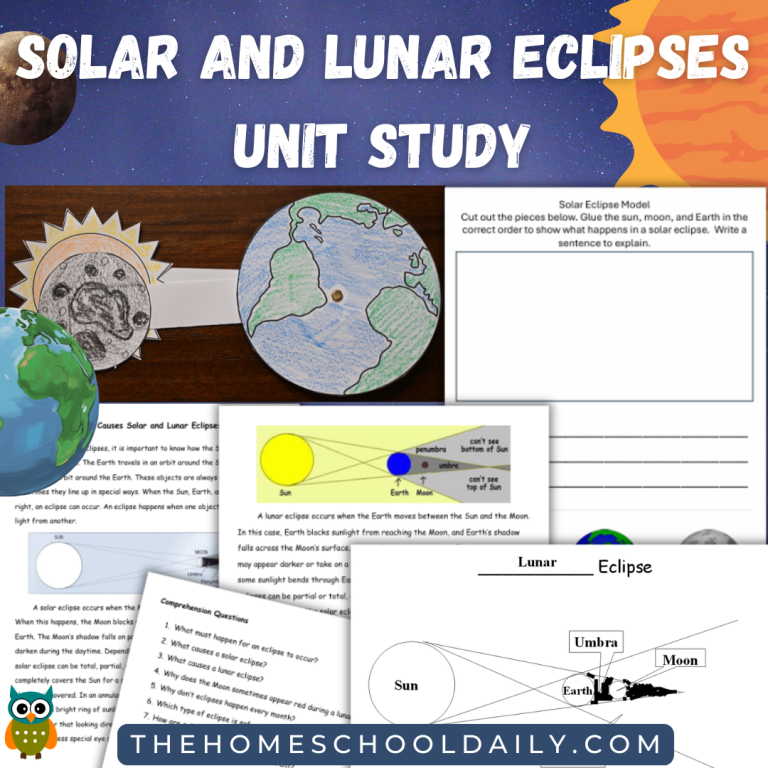 Colorful tic-tac-toe cards featuring cartoon suns and moons for first graders. Fun Sun and Moon Tic-Tac-Toe Worksheet for Earth and Space Science.