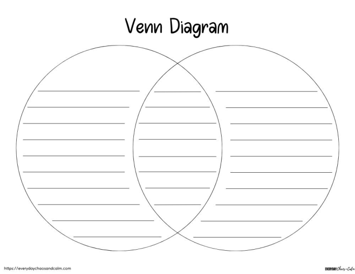 Fifth grade diagram worksheet featuring labeled parts of the Sun for science students