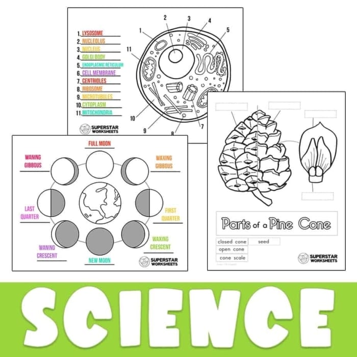 Fun and engaging addition practice for young learners Brightly colored Superstar Addition worksheet for preschool and kindergarten students