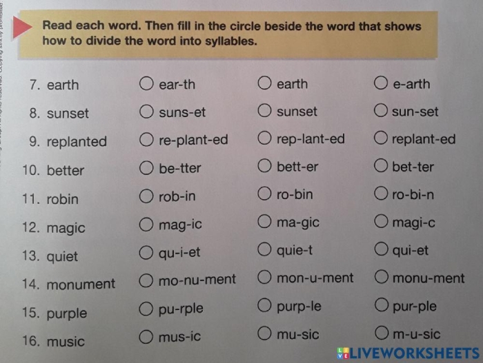 Syllabication Evaluation Worksheet 6 for Fifth Grade Science Vocabulary Fifth grade Earth and Space Science worksheet for practicing correct syllabication of multisyllabic words