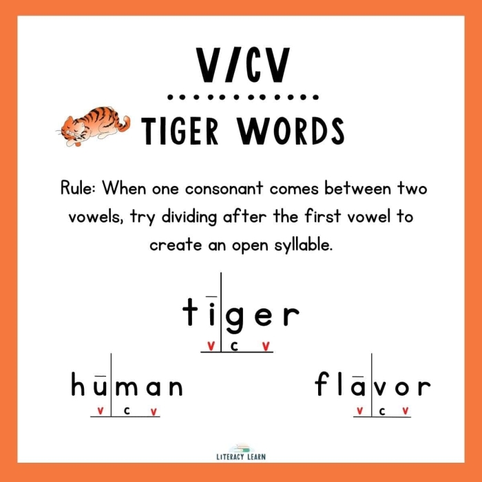 Separating Syllables VC/V Pattern Worksheet Number 18 First grade students identifying syllable breaks in VC/V pattern words on a printable worksheet