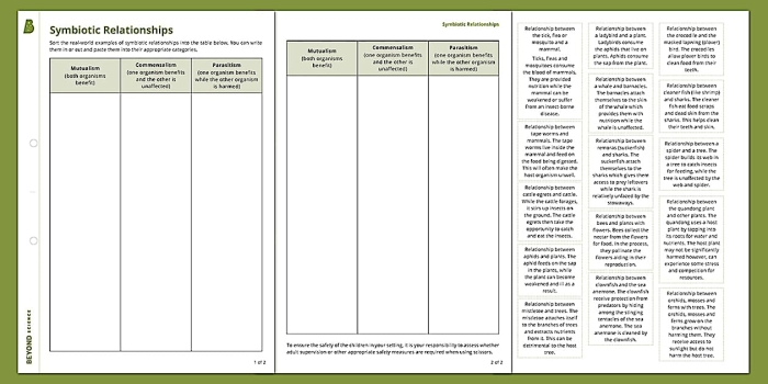 Sixth grade students learning about mutualism parasitism and commensalism symbiotic relationships in ecosystems worksheet activity 16