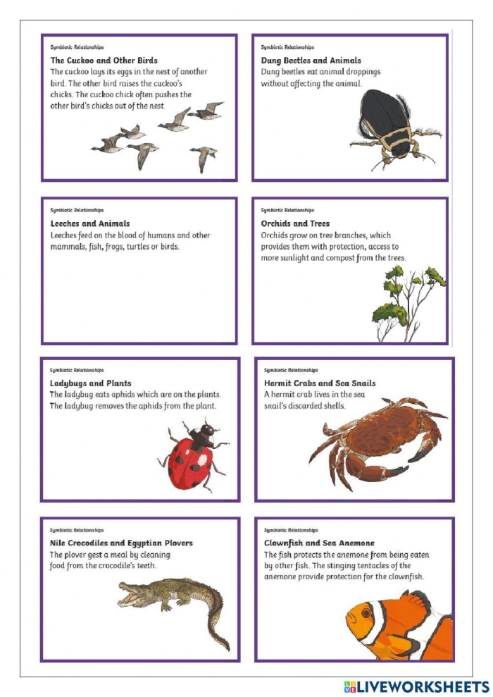 Sixth grade science worksheet covering mutualism commensalism and parasitism in ecosystems