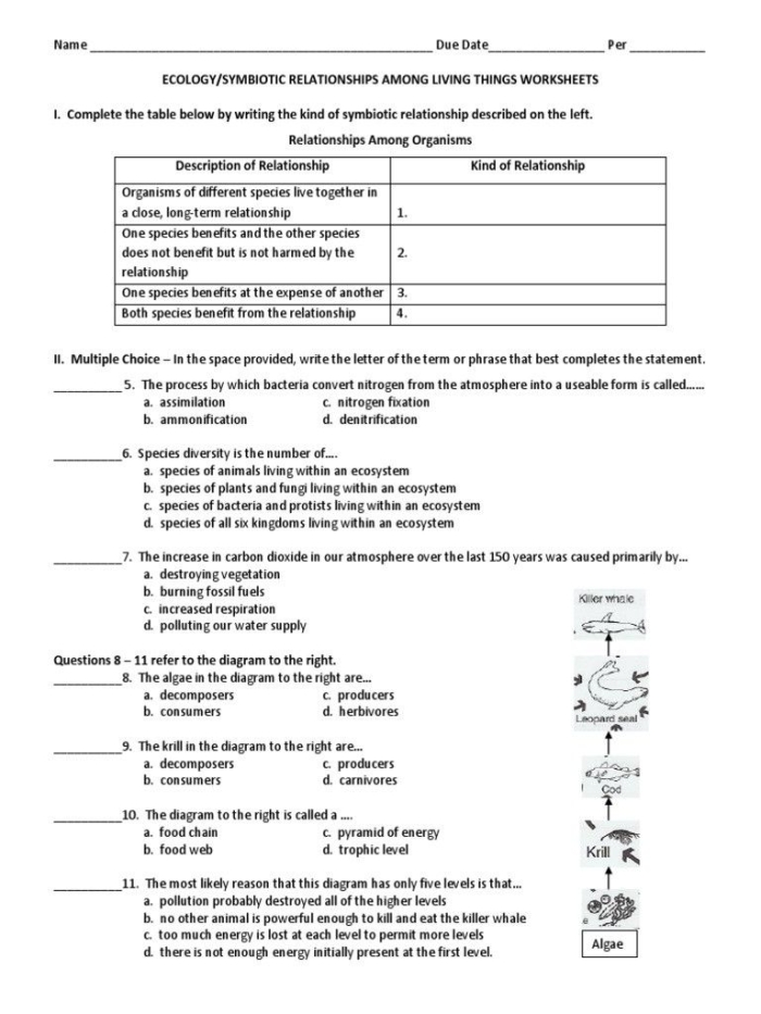 Sixth grade students learning about mutualism commensalism and parasitism symbiotic relationships in ecosystems worksheet 18