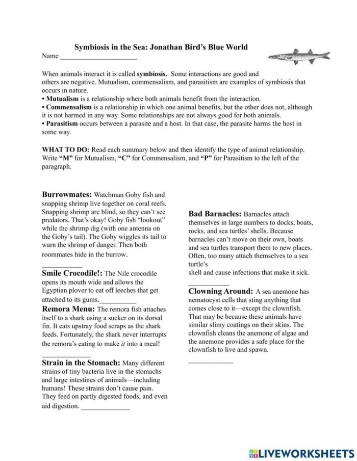 Sixth grade students learning about mutualism parasitism and commensalism symbiotic relationships in ecosystems worksheet image 19