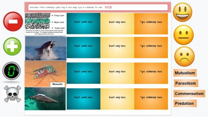 Sixth grade life science worksheet featuring various symbiotic relationship examples in ecosystems