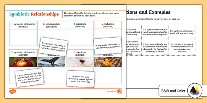 Sixth grade science worksheet covering mutualism, commensalism, and parasitism in ecosystem studies