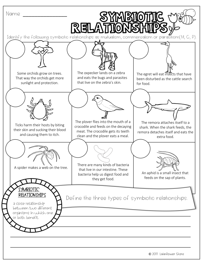 Sixth grade science worksheet covering mutualism, commensalism, and parasitism in symbiotic relationships