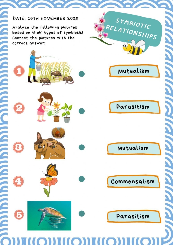 Sixth grade life science worksheet about symbiotic relationships in ecosystems