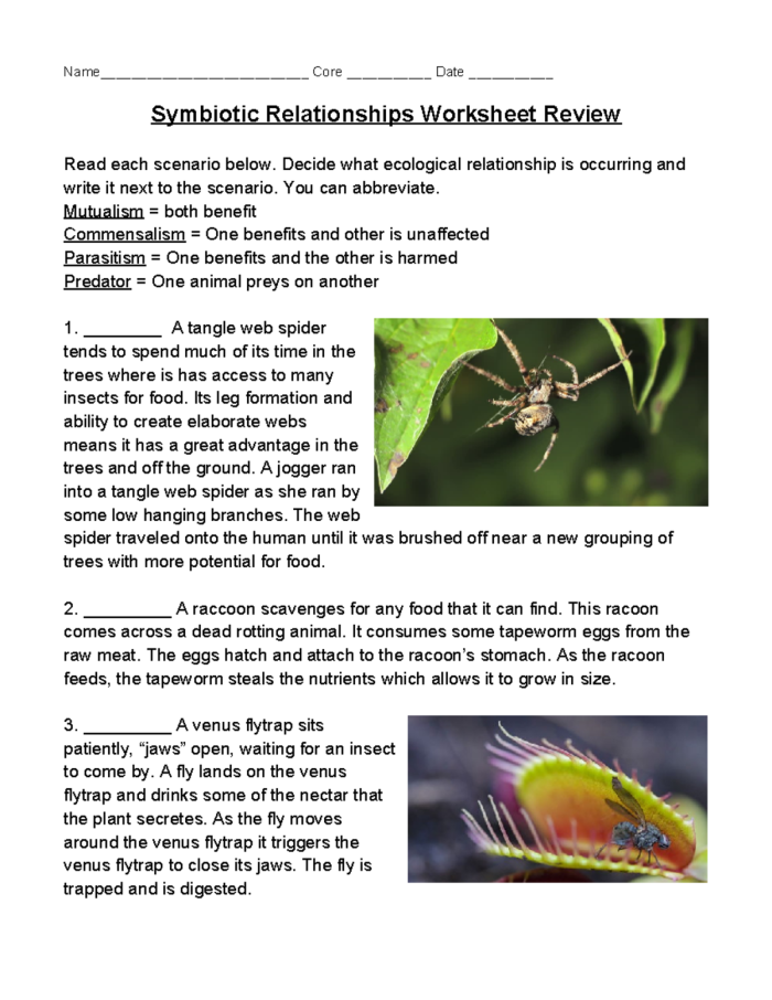 Sixth grade science worksheet exploring various types of symbiotic relationships in ecosystems