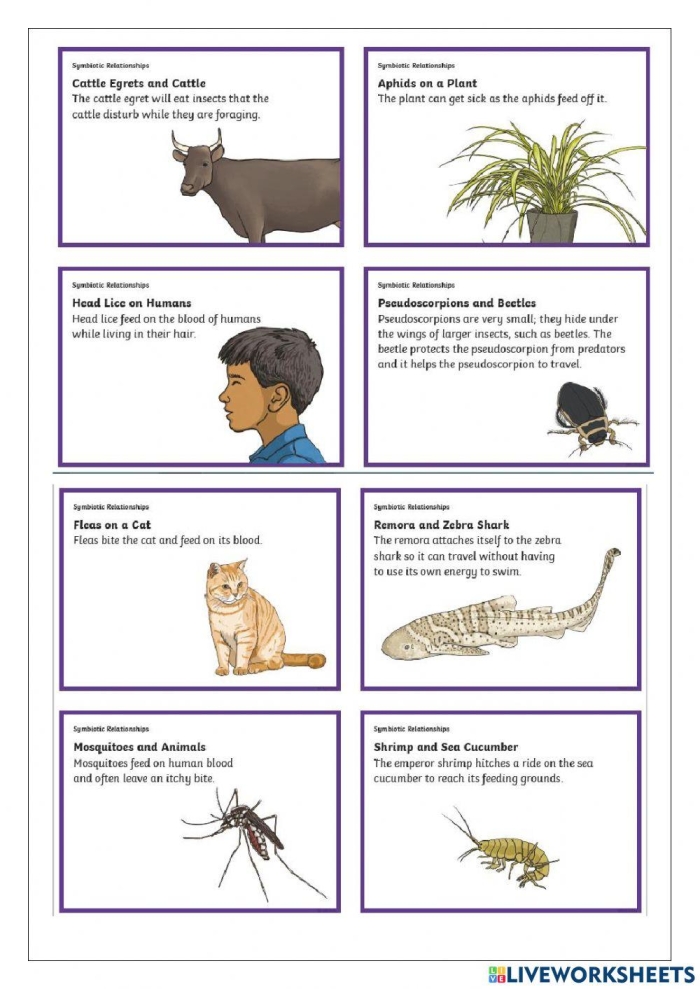Sixth grade students learning about mutualism parasitism and commensalism symbiotic relationships in ecosystems worksheet 25