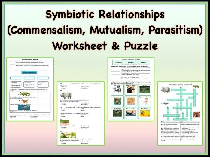 Sixth grade life science worksheet about symbiotic relationships in ecosystems