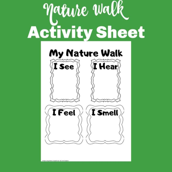 Worksheet for third graders to document their nature walk observations through writing and drawing. Take a Nature Walk worksheet for addition activities in third grade.