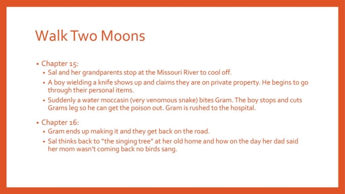 Targeted Reading Skills Practice: Cause and Effect in Walk Two Moons Worksheet Image 15 Worksheet for practicing cause and effect using an excerpt from Walk Two Moons