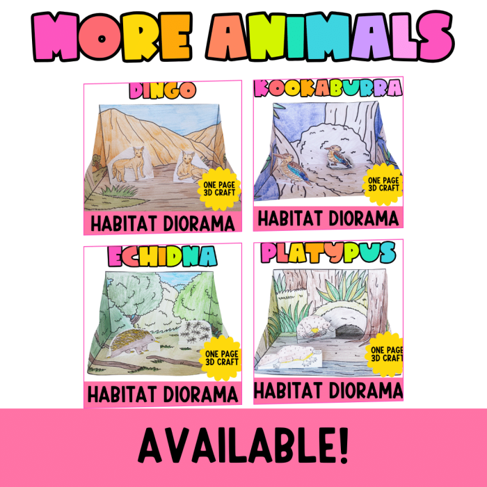 Tasmanian devil worksheet for first graders featuring the real animal and fun facts