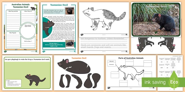 First grade worksheet featuring a realistic Tasmanian devil illustration for science lessons