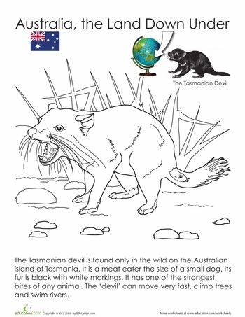 Illustration of a Tasmanian devil for a first-grade life science worksheet