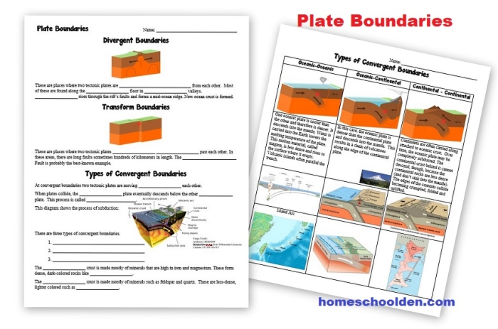 Diagram showing convergent, divergent, and transform tectonic plate boundaries with labeled arrows and geological features for sixth grade earth science