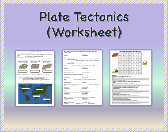 Sixth grade science worksheet comparing tectonic plate boundaries and geological activity