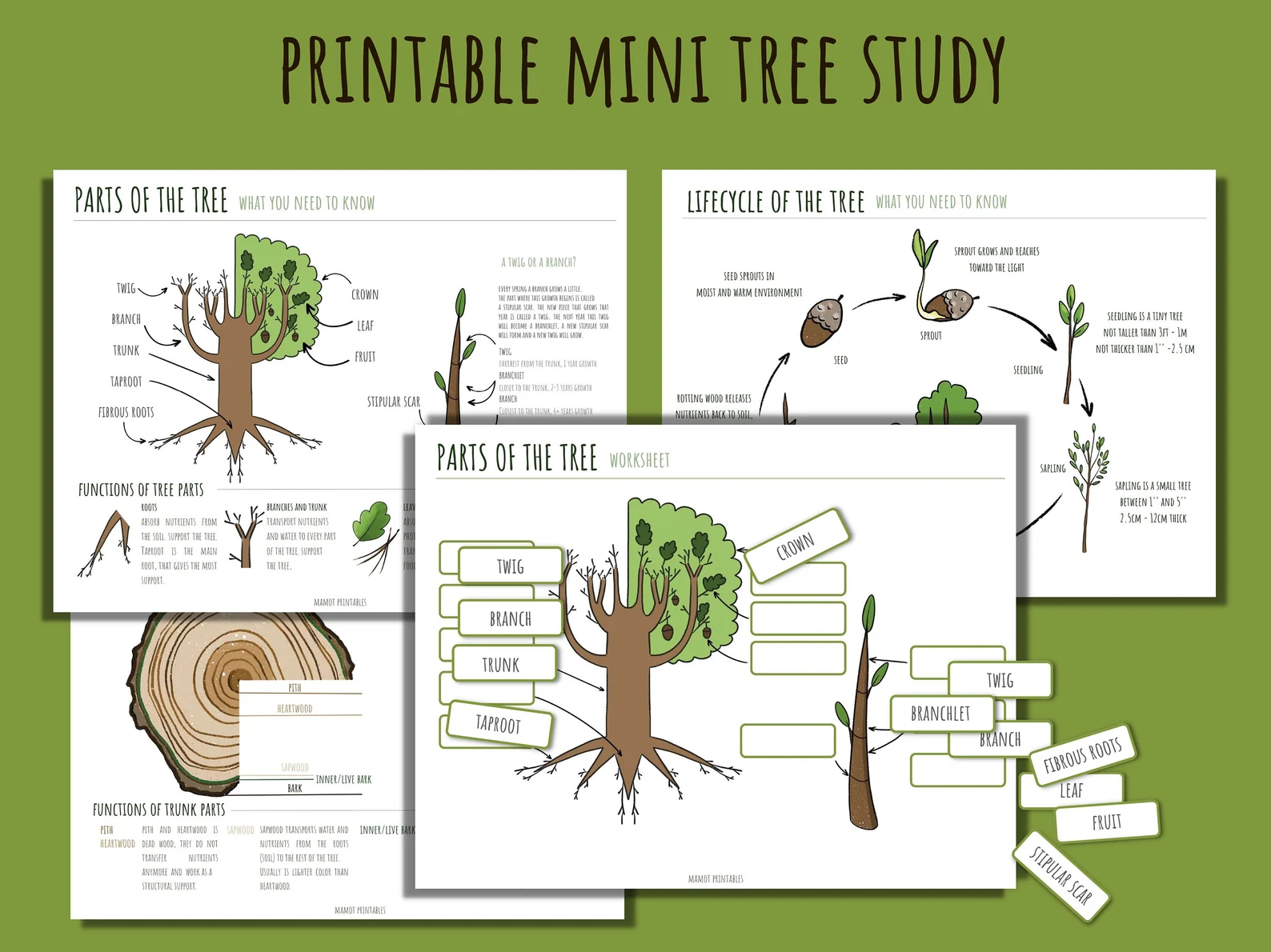 Colorful cut-and-paste tree chart for testing children's tree knowledge