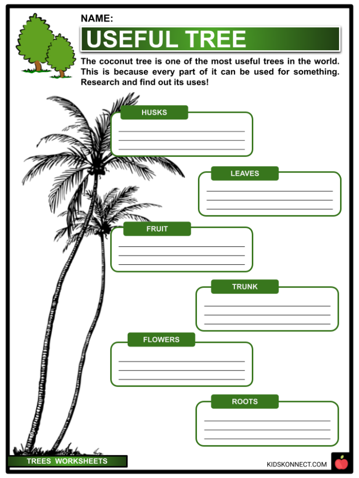 Colorful cut-and-paste worksheet for Pre-K students to identify different tree parts