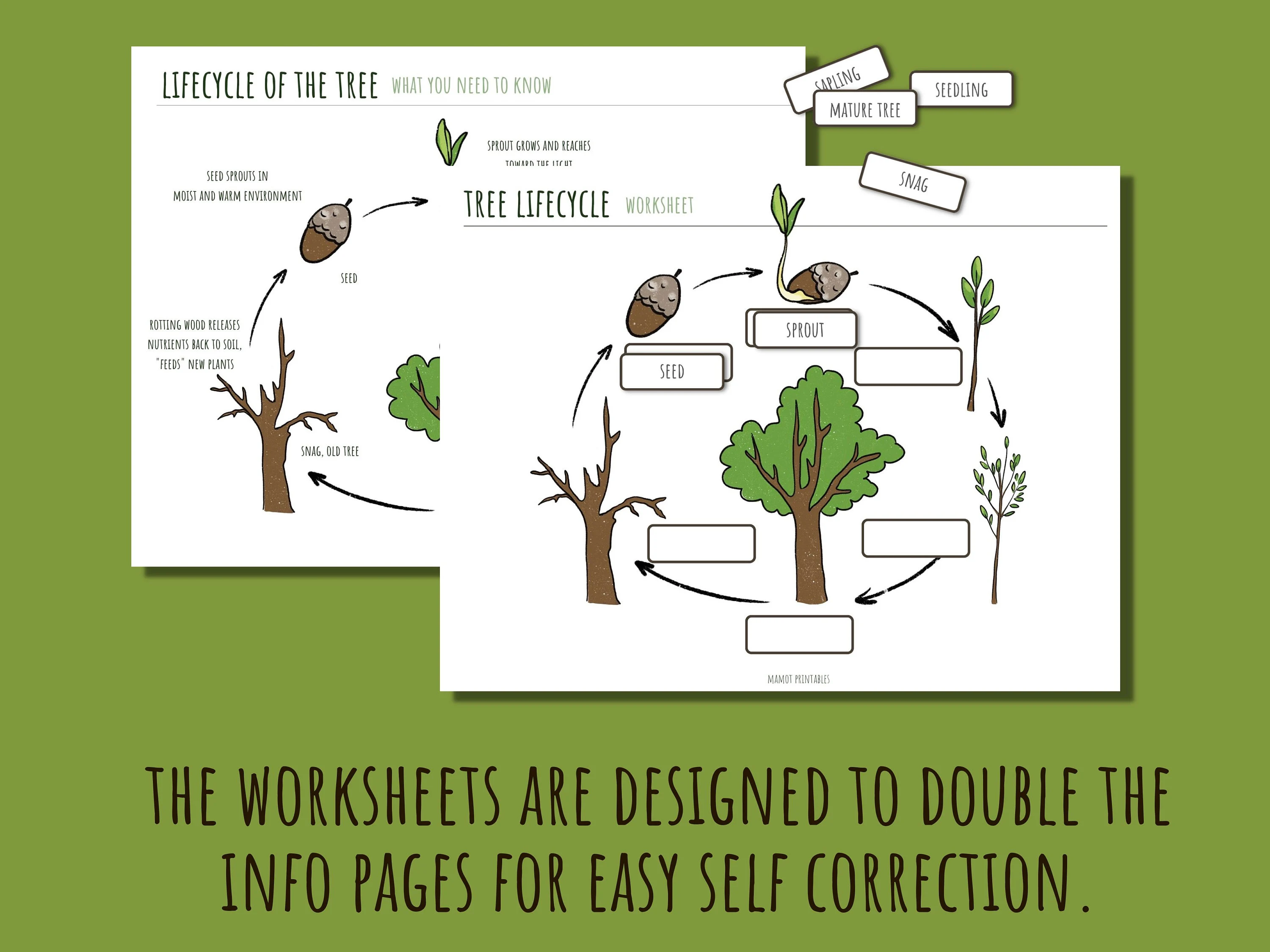 Colorful cut-and-paste tree chart for testing tree knowledge in young learners
